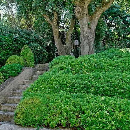 Tropezian Arty House Σαιν-Τροπέ